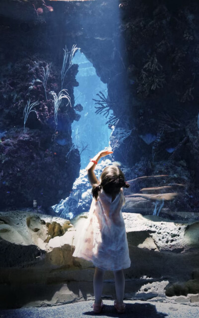 丸子可爱宝宝的壁纸！