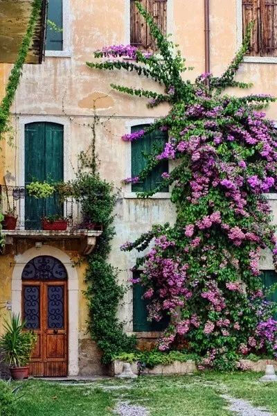 有个院子，静时读书，闲时喝茶！