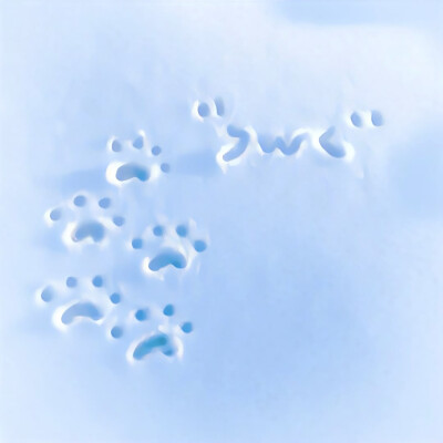 图源ks：偷喝汽水