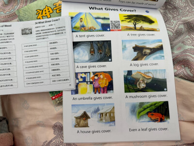 我说不知道cover是什么意思，她说我看看，看了图片说“遮挡”。