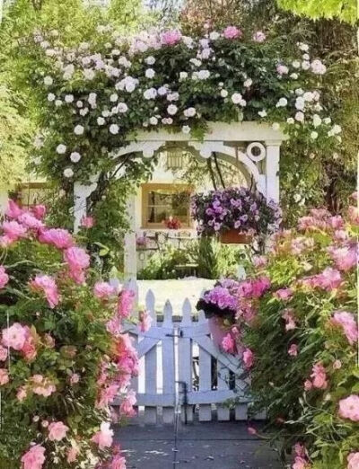 有个院子，静时读书，闲时喝茶！