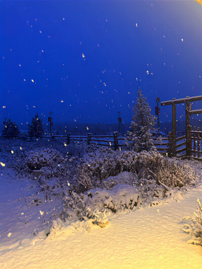 冬日背景图 蓝调背景图