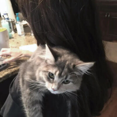 我是不会放弃收集这种图片的