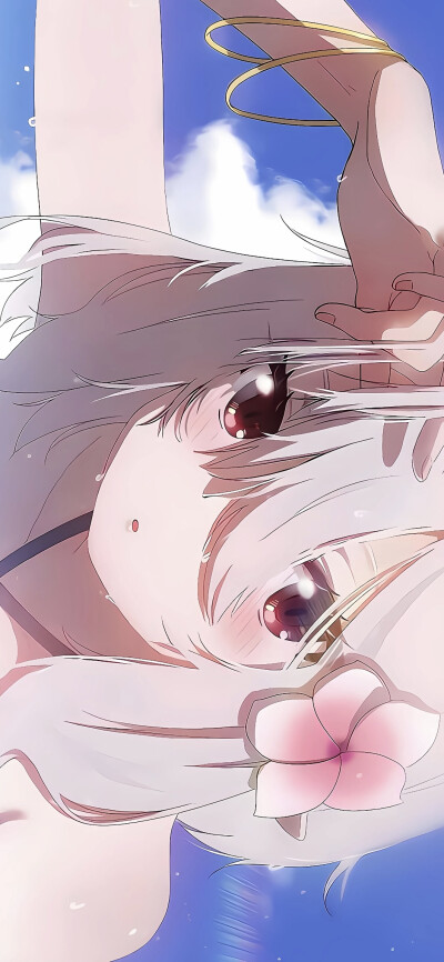 超高清动漫壁纸，二次元壁纸