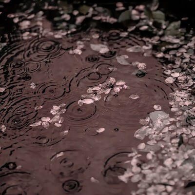 于是 我驻足
鹤男
起司名札