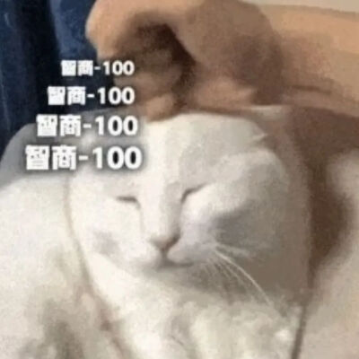 猫猫表情包