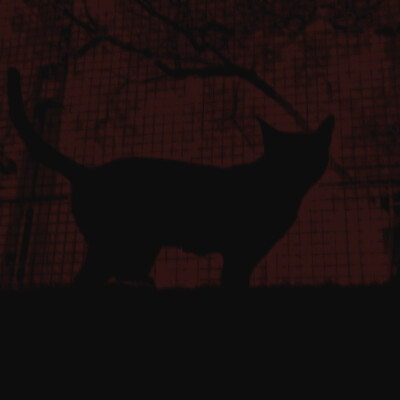 知我者希，则我者贵
Khione_0101