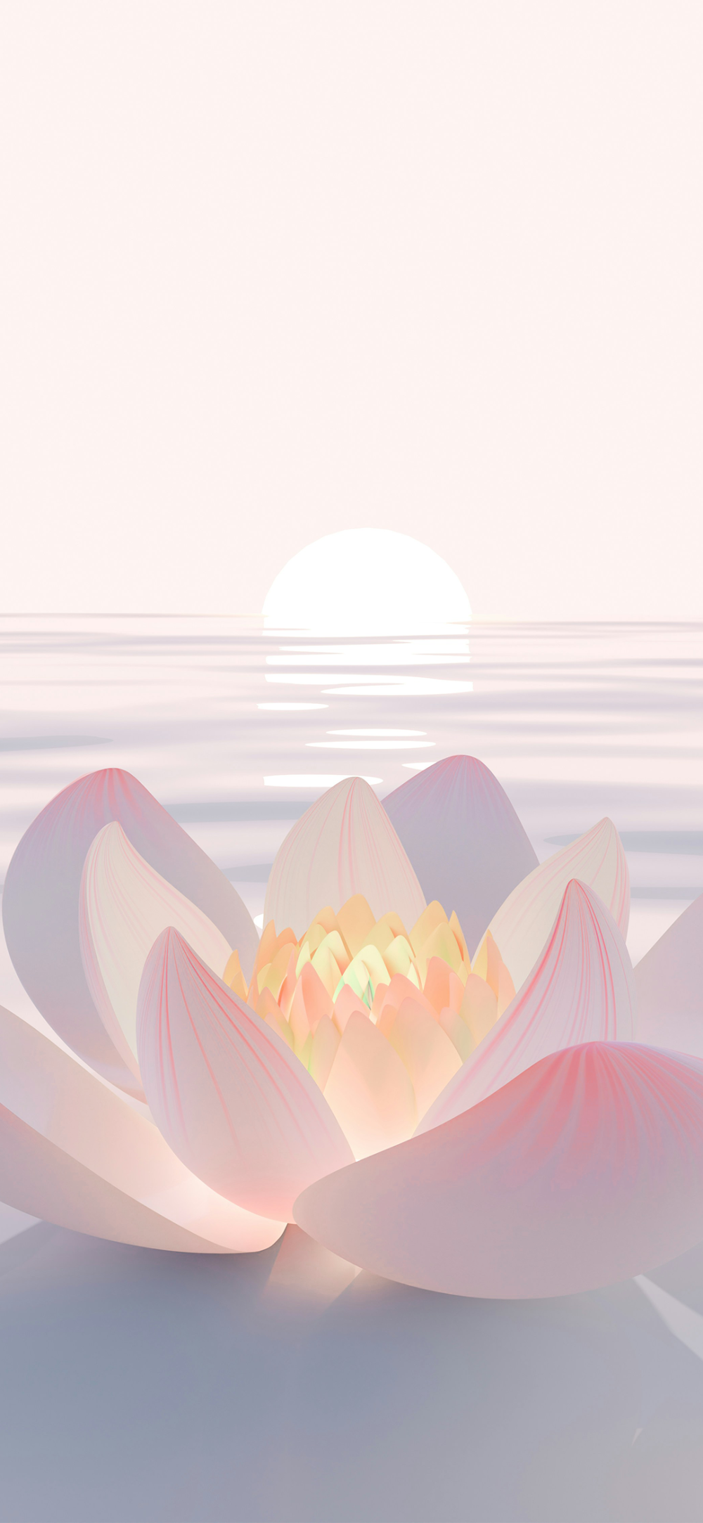 可爱的
图片来自网络，侵删