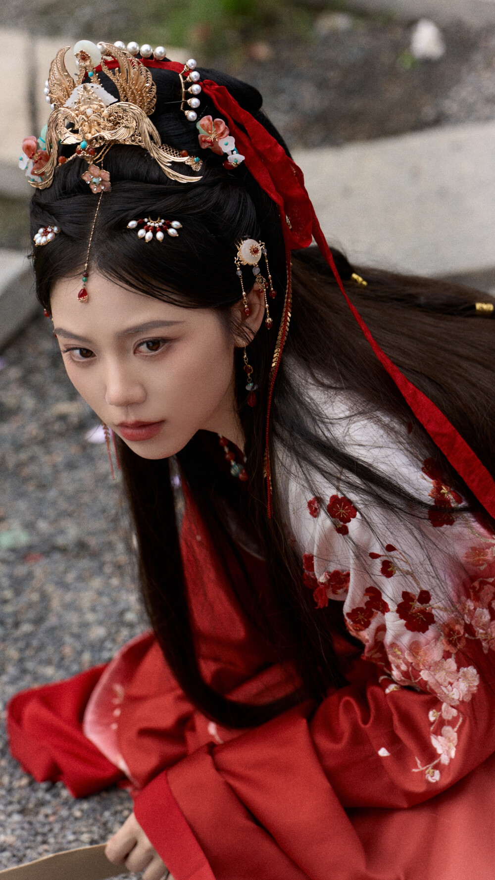 红颜登科录 徐璎珞