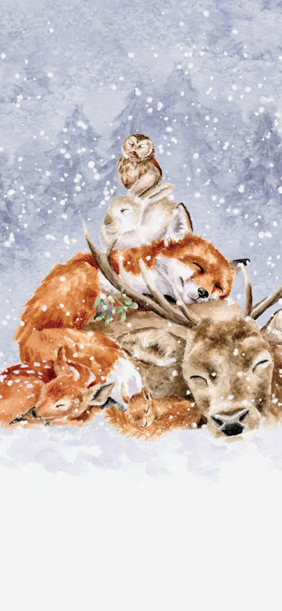 可爱的
图片来自网络，侵删