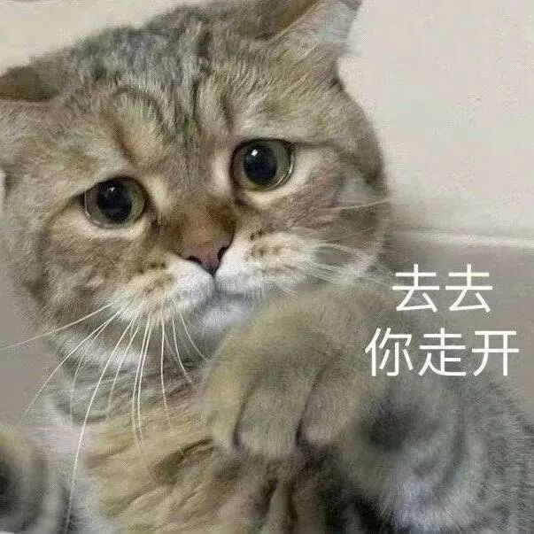 猫猫表情包