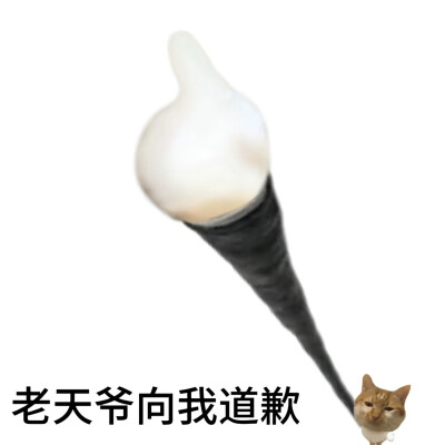 猫猫表情包