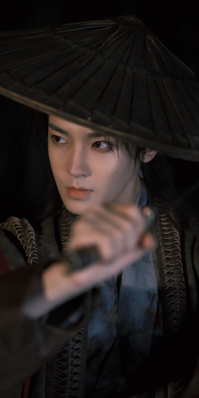 侯明昊《碧血蝉》杨无间