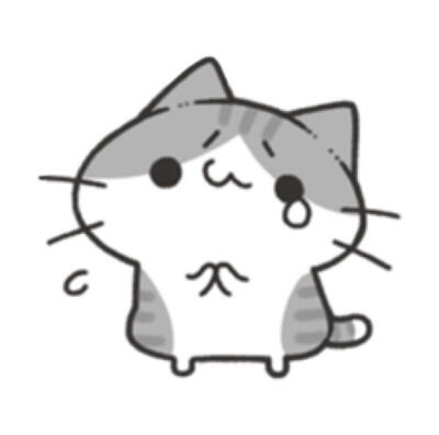 可爱猫猫