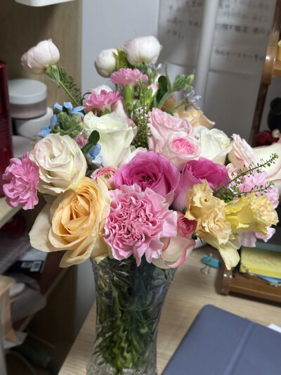 下班回宿舍看到它感觉自己都美丽了半分