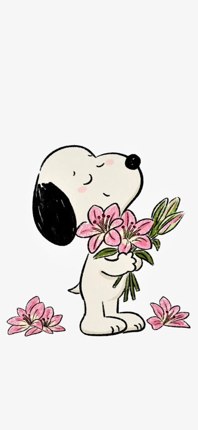 套图
图片来自网络，侵删