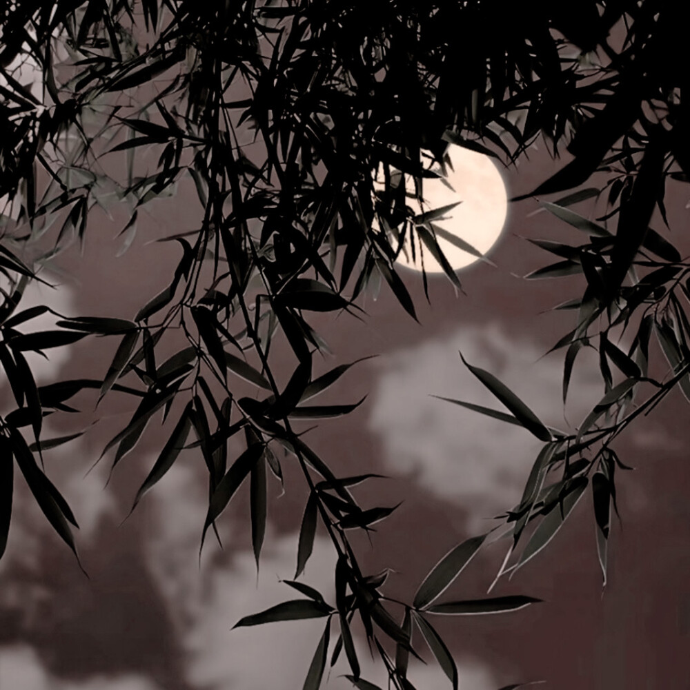 于是 我驻足
鹤男
起司名札