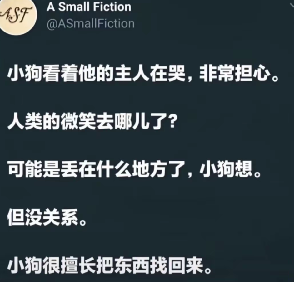 小狗舔掉你的泪