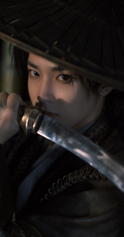 侯明昊《碧血蝉》杨无间