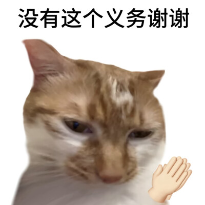 猫猫表情包