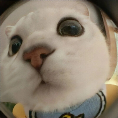 Just do what i suppose to do.