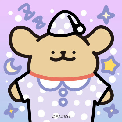 小狗的多彩衣橱