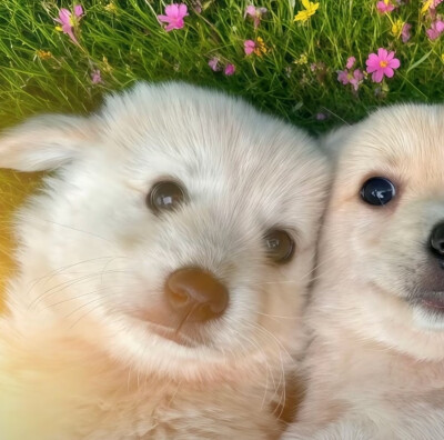 情头（侵删）带走记得点赞哦