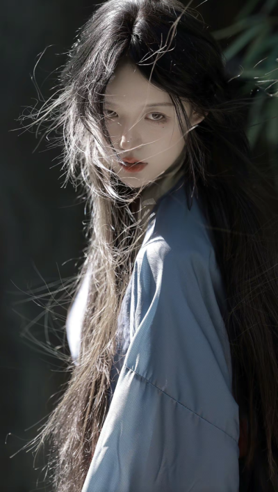 人生不相见 动如参与商.