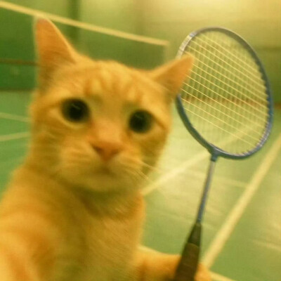 Just do what i suppose to do.