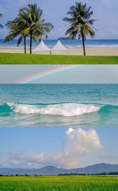 一张夏天风景图