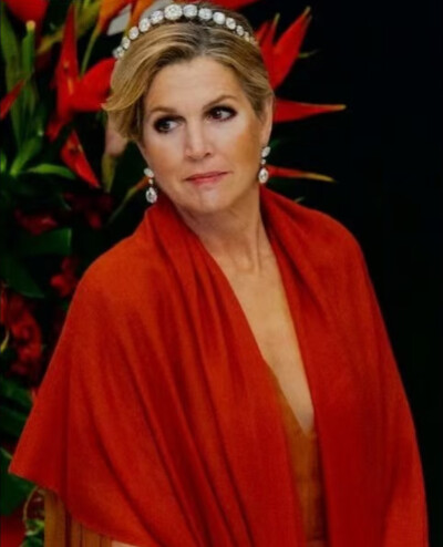 荷兰王后马克西玛