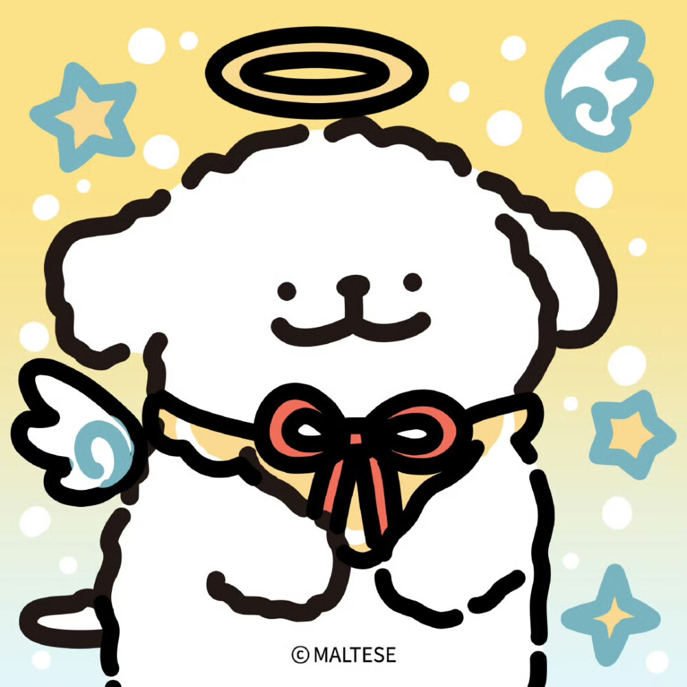 小狗的多彩衣橱