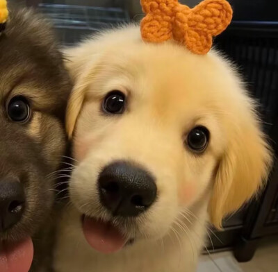 情头（侵删）带走记得点赞哦