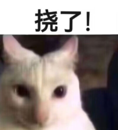 干嘛小猫 挠屁股表情包