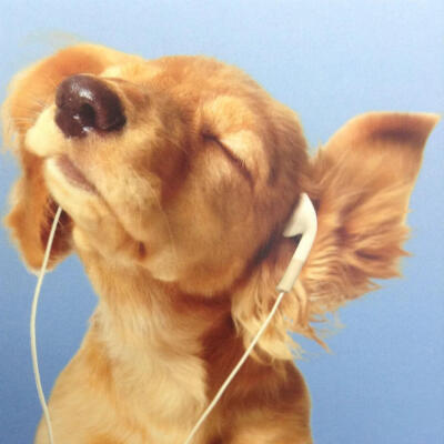 Just do what i suppose to do.