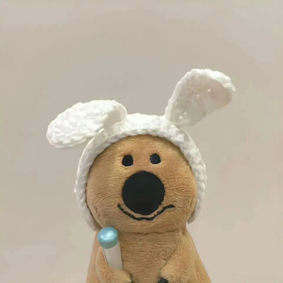 Just do what i suppose to do.