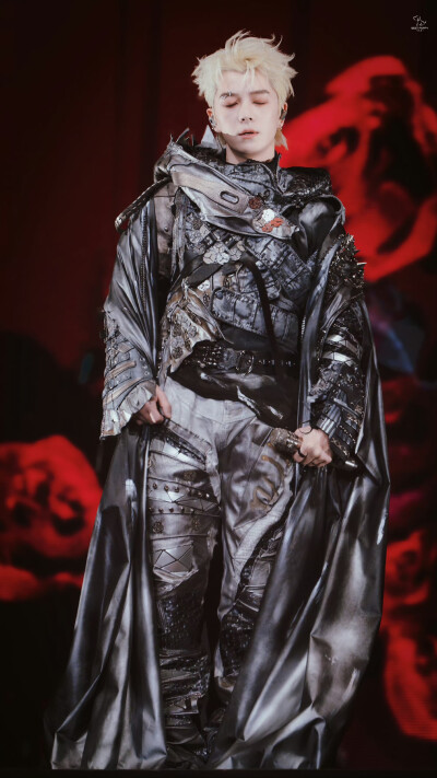 王栎鑫 250222 X巡回演唱会 上海站