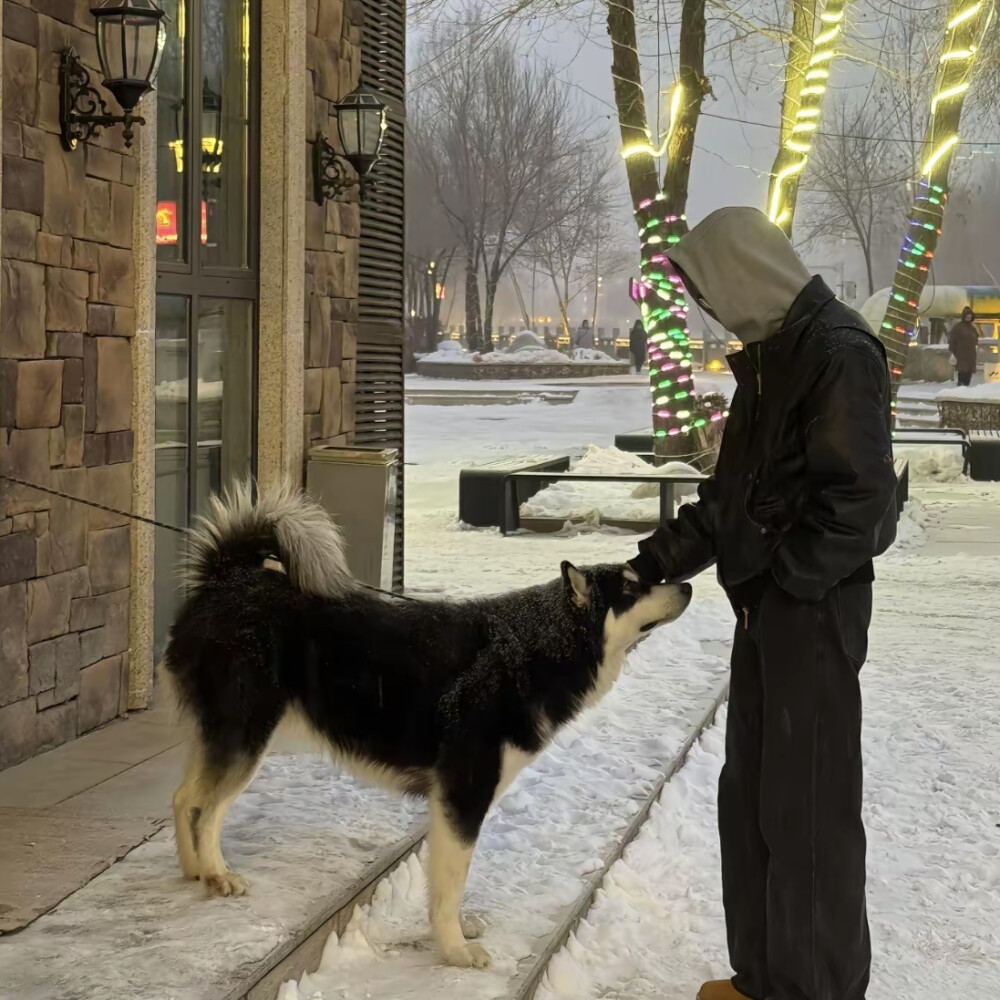 男生头像
不会再遇到第二个我
