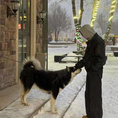 男生头像
不会再遇到第二个我
