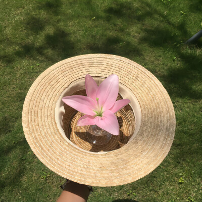 背景·图源微博