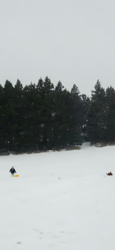 手机壁纸｜聊天背景图