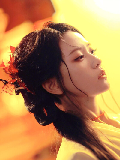 愿逐流云入卿怀 云知微