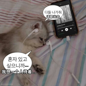 如果只是一場夢境