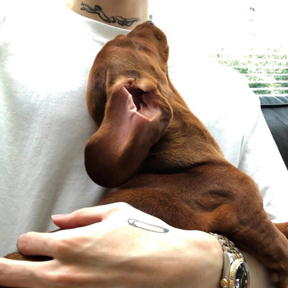 男生头像
不会再遇到第二个我
