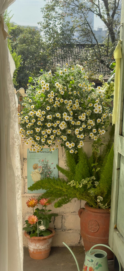 手机壁纸｜聊天背景图