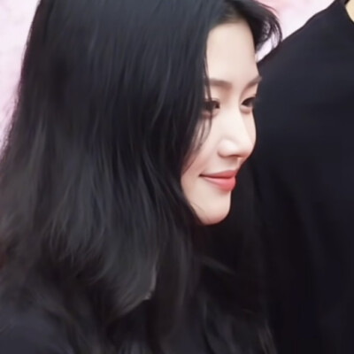 可以回到入青云开机那天吗