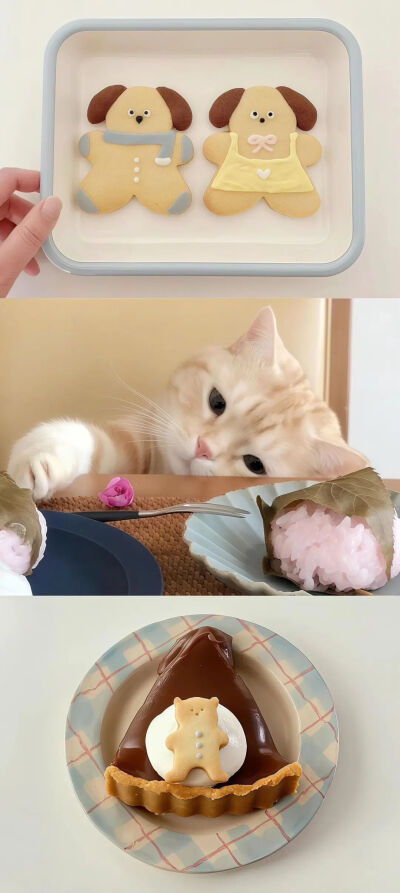 我是不会放弃收集这种图片的