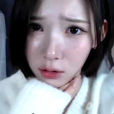 又怎么了我的大小猫