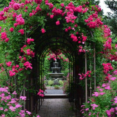 幸福就是住着小院子，过着小日子