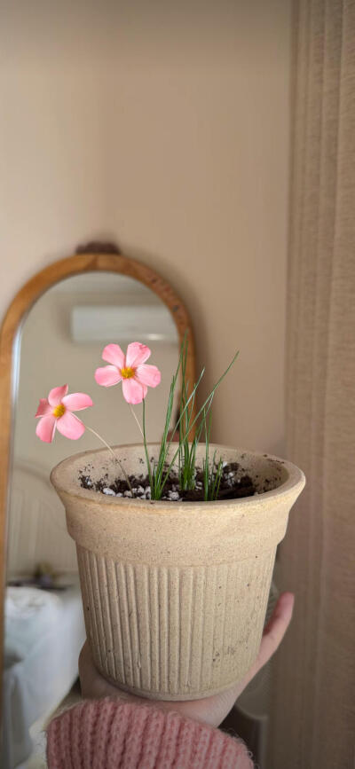 幸福降临我手心